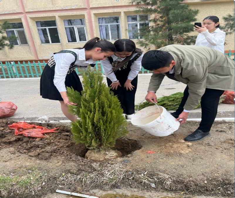 Мектеп ауласына ағаштар отырғызып және тазалық жұмыстарын жүргізді